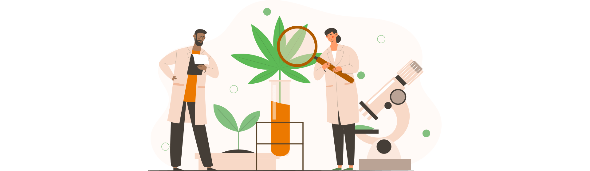 lab-production-of-cbd-oil