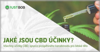 Jaké jsou CBD účinky?