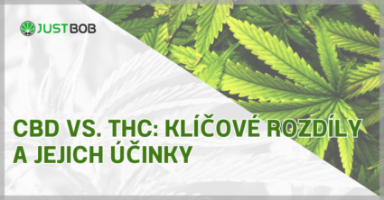 CBD vs. THC: Klíčové rozdíly a jejich účinky