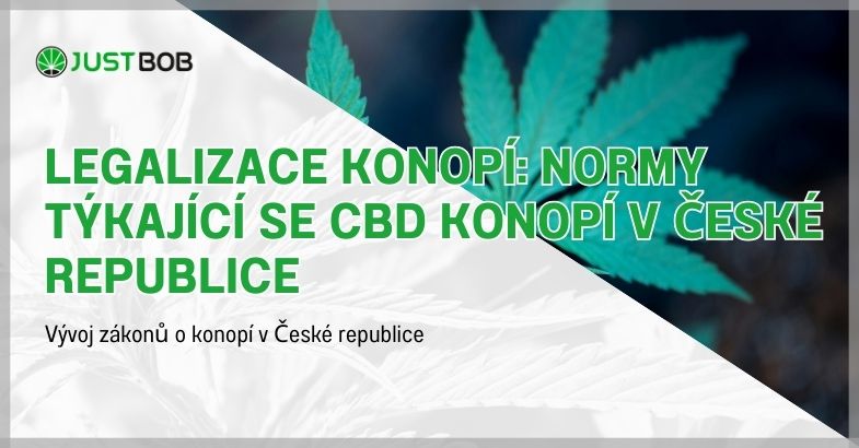 Legalizace konopí: Normy týkající se CBD konopí v České republice